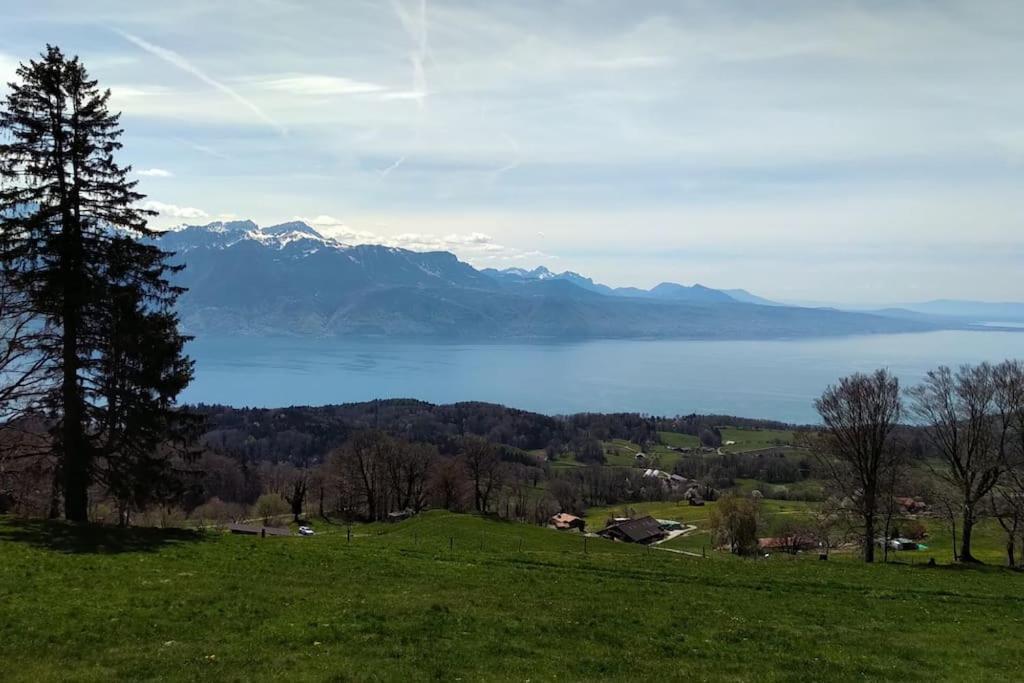 Appartement T2 Ideal Pour Une Famille Thollon-les-Memises Exteriör bild